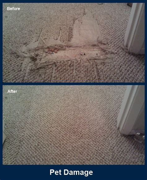 mma carpet restoration charlotte nc.